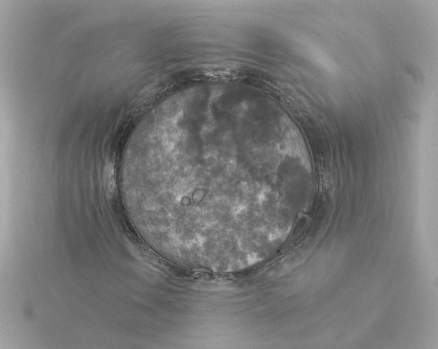 X0000116031106200912041929