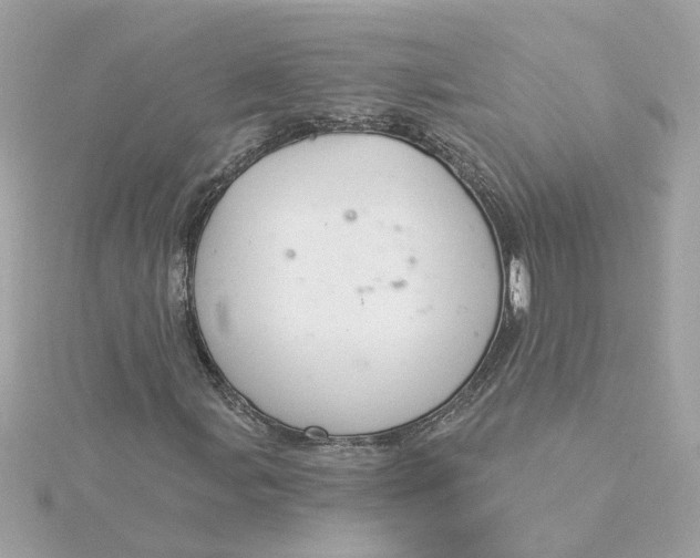 X0000116031107200912041929