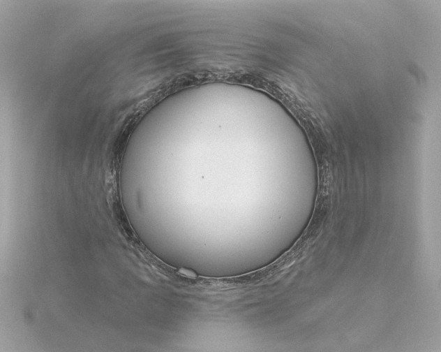 X0000116031109200912041929