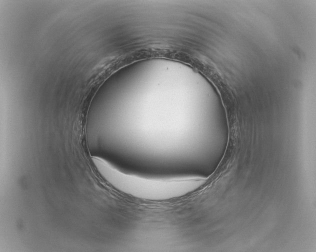 X0000116031110200912041929