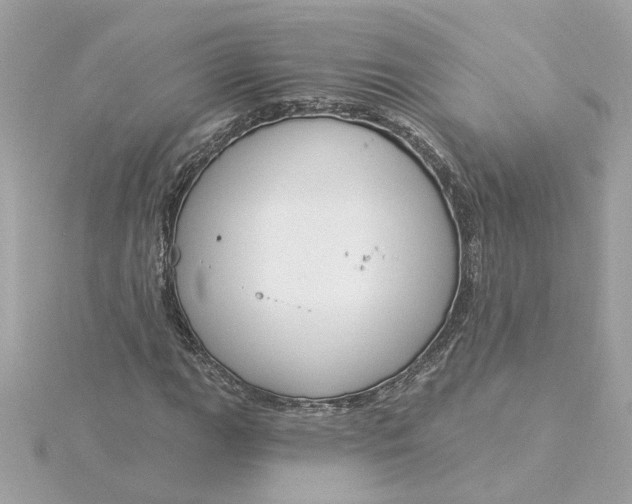 X0000116031111200912041929