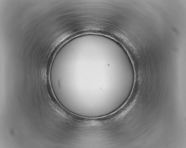 X0000116031113200912041929