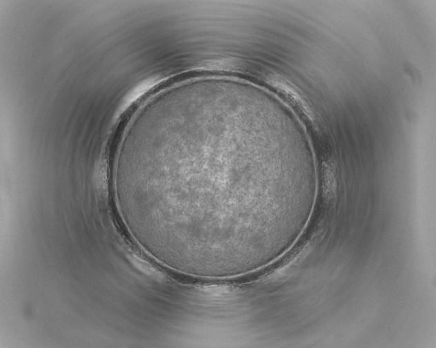 X0000116031114200912041929