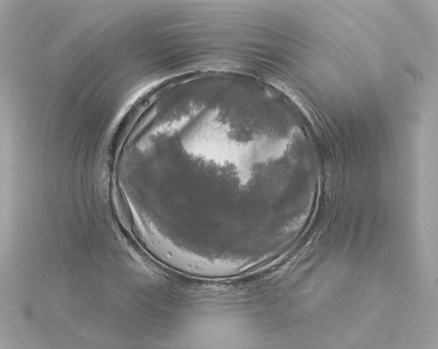 X0000116031115200912041929