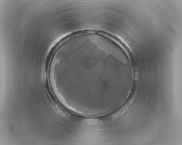 X0000116031117200912041929