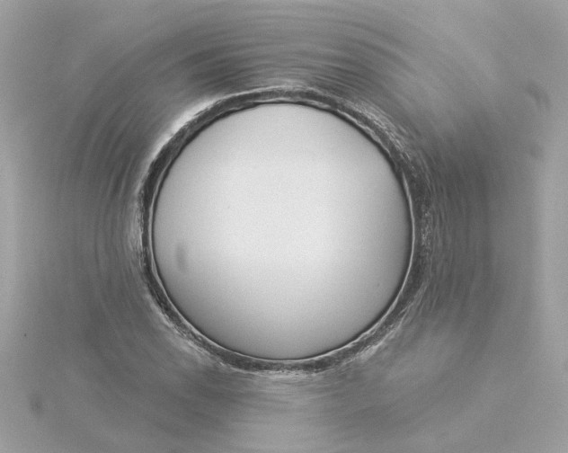 X0000116031118200912041929