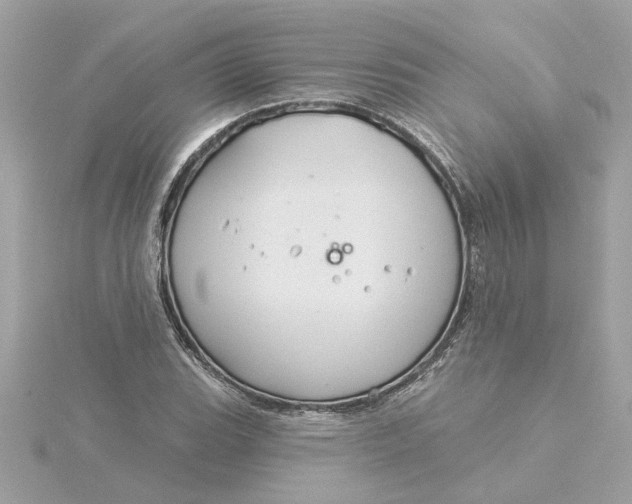 X0000116031119200912041929