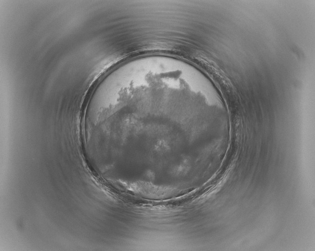 X0000116031121200912041929