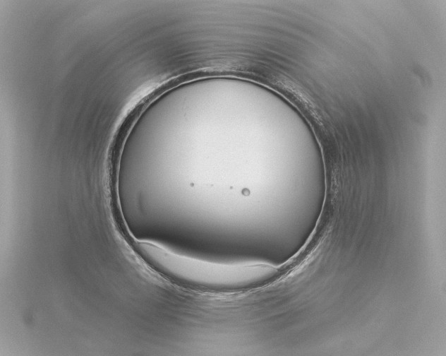 X0000116031122200912041929