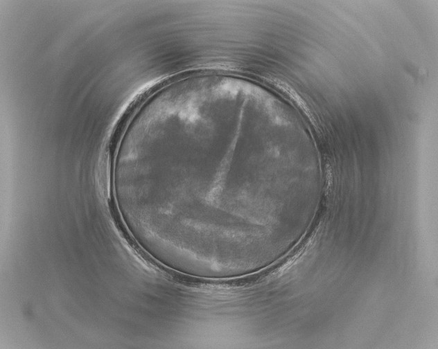 X0000116031123200912041929