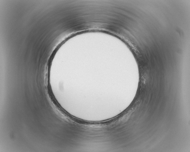 X0000116031126200912041929