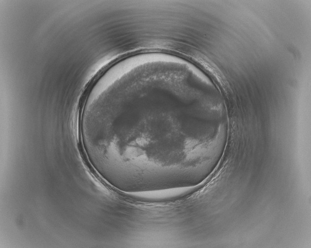 X0000116031127200912041929