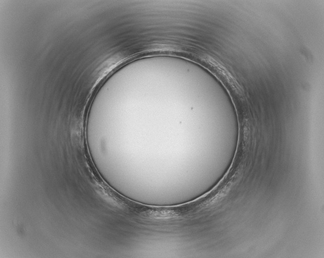 X0000116031129200912041929