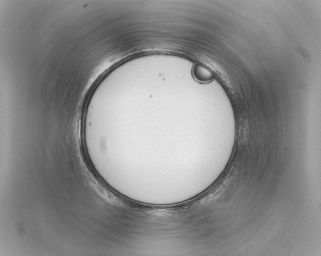 X0000116031130200912041929