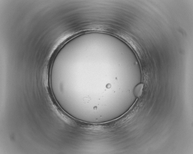 X0000116031131200912041929