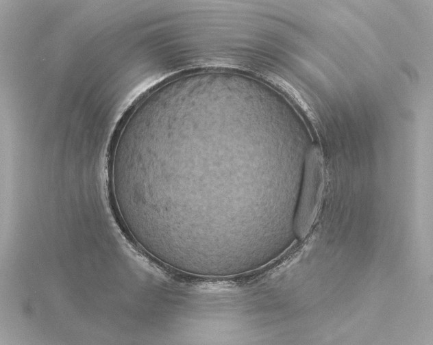 X0000116031133200912041929