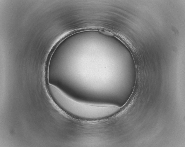 X0000116031134200912041929