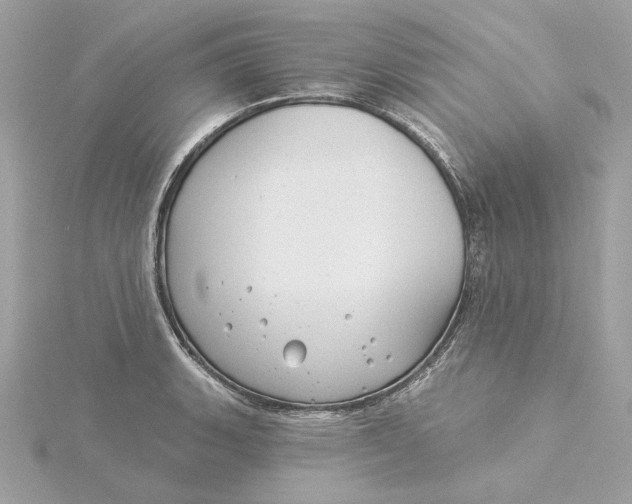 X0000116031135200912041929