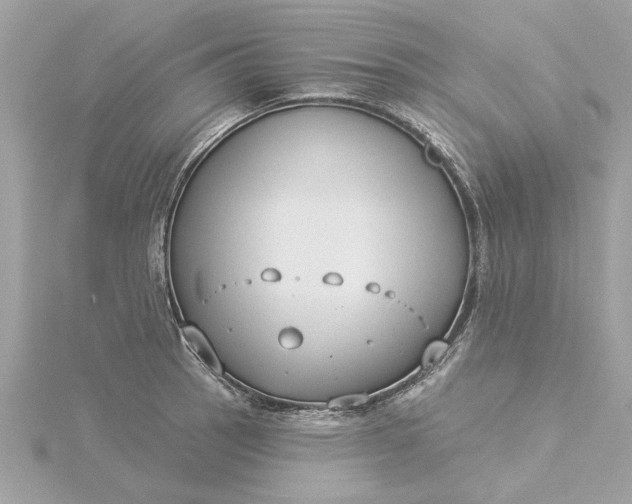 X0000116031137200912041929