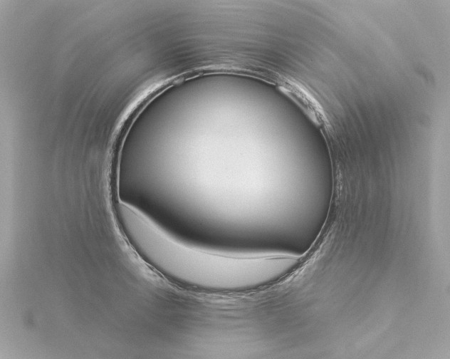 X0000116031138200912041929