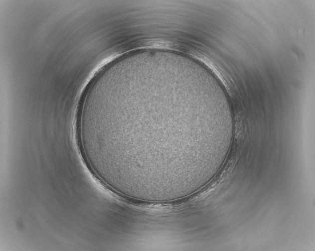 X0000116031139200912041929