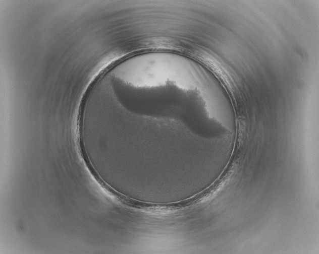 X0000116031141200912041929