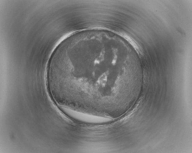 X0000116031142200912041929