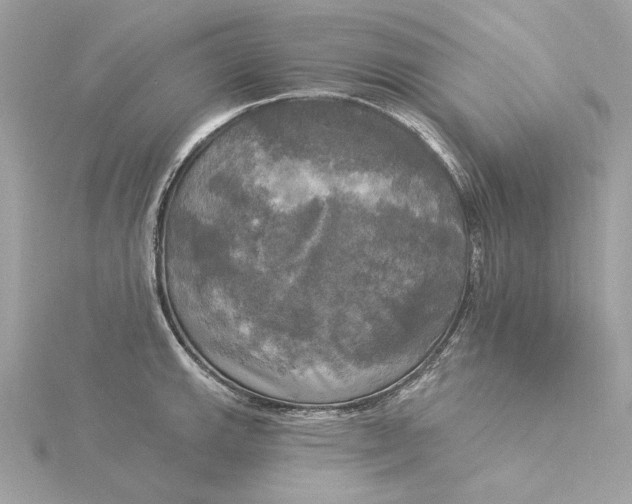 X0000116031143200912041929