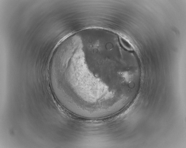 X0000116031145200912041929