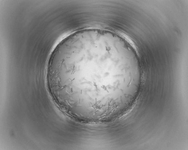 X0000116031146200912041929