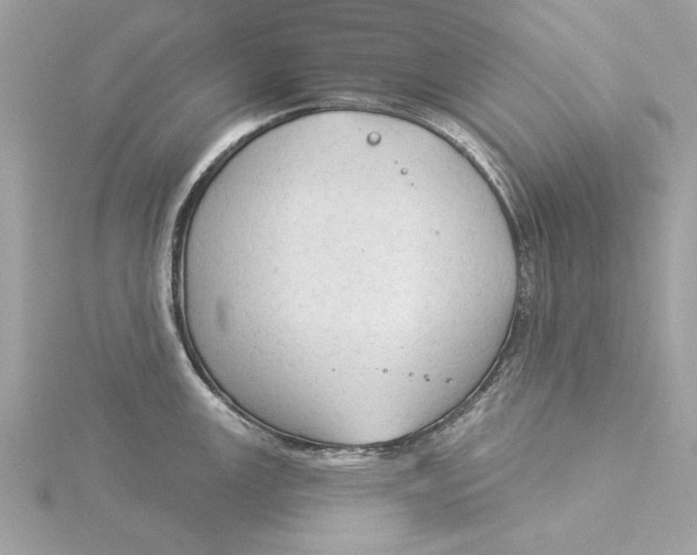 X0000116031147200912041929