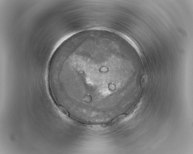 X0000116031149200912041929