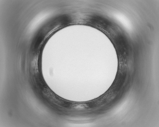 X0000116031150200912041929