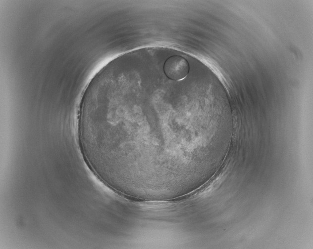 X0000116031151200912041929