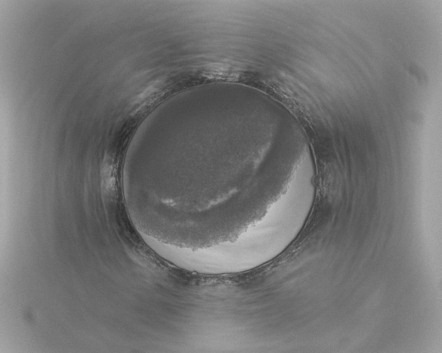 X0000116031154200912041929