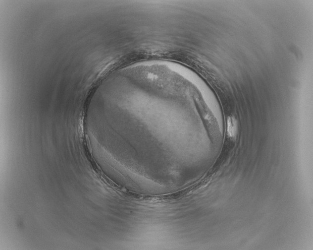 X0000116031155200912041929