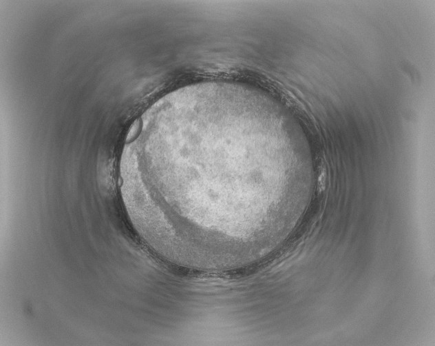 X0000116031156200912041929