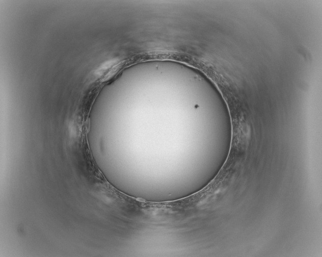 X0000116031157200912041929