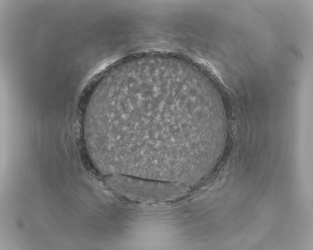 X0000116031159200912041929