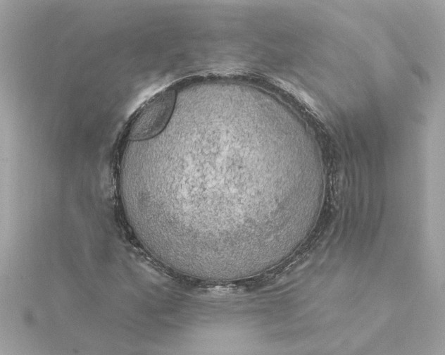 X0000116031160200912041929