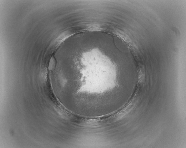 X0000116031161200912041929