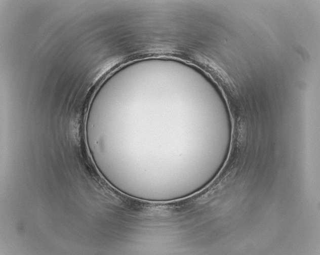 X0000116031162200912041929