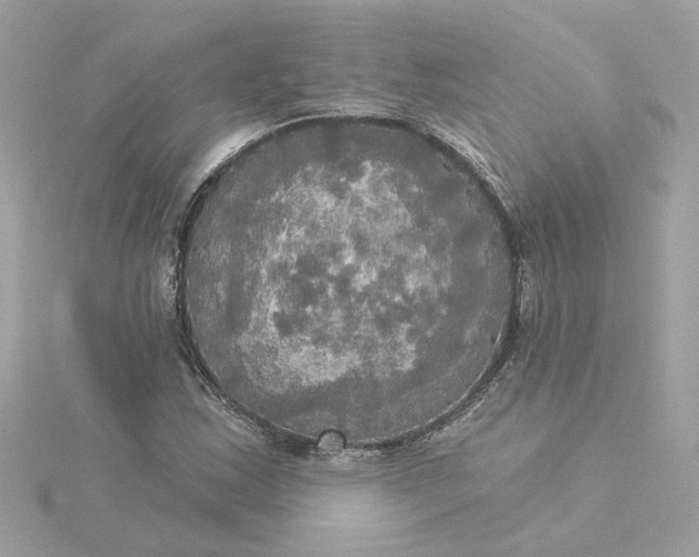 X0000116031163200912041929