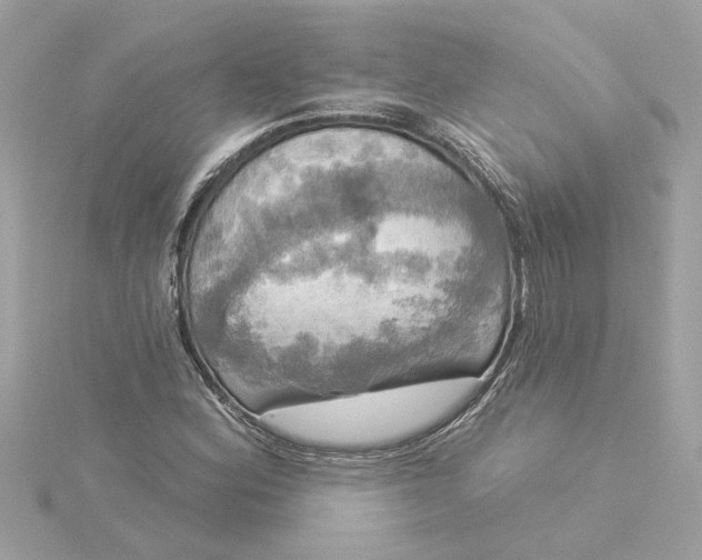 X0000116031164200912041929