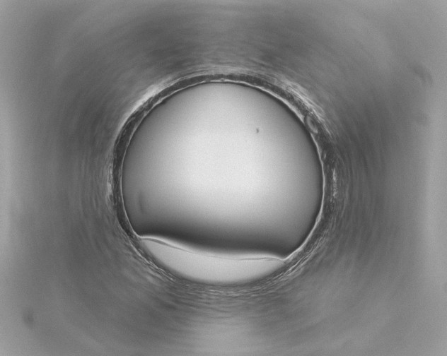 X0000116031165200912041928