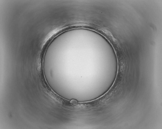 X0000116031167200912041928