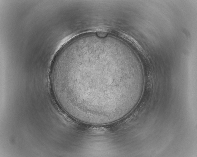 X0000116031168200912041928