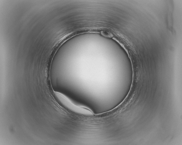 X0000116031169200912041928