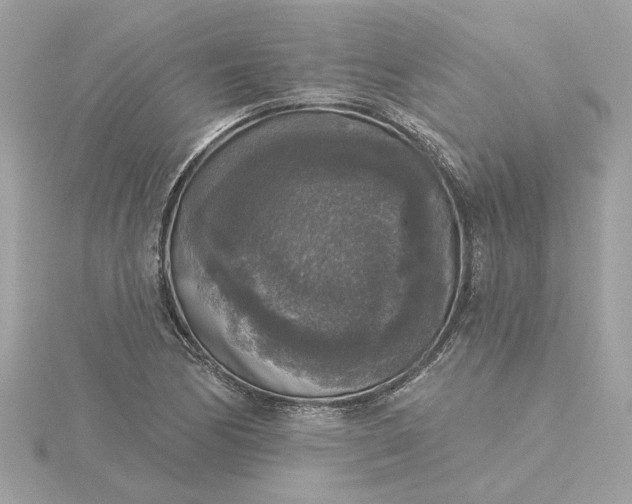 X0000116031170200912041928