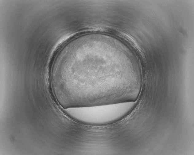 X0000116031172200912041928